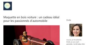 Présentation du site cabane-en-hauteur.fr